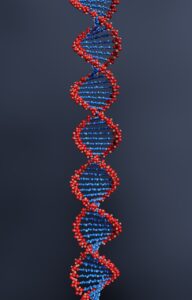 DNA鑑定を拒否した場合、どうなるのか知りたい？