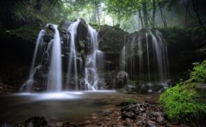 養育費減額調停の流れについて知っておくべきことは？